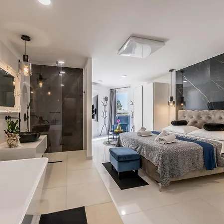 Luxury Apartment